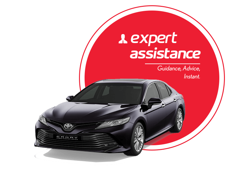exxpert assistance